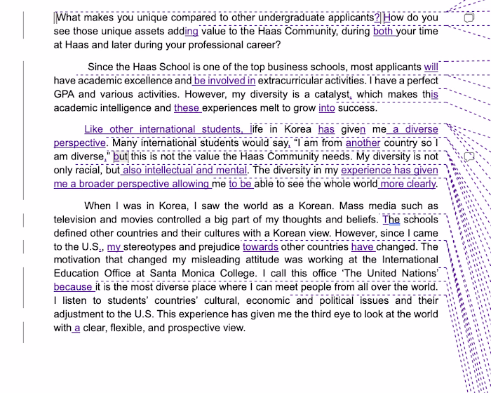 Acedemic Essay