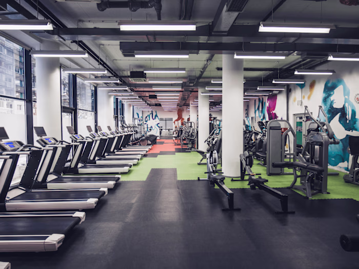 Fitness Website