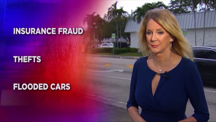 Motion Graphics for WSVN Channel 7 in Miami, Fl.