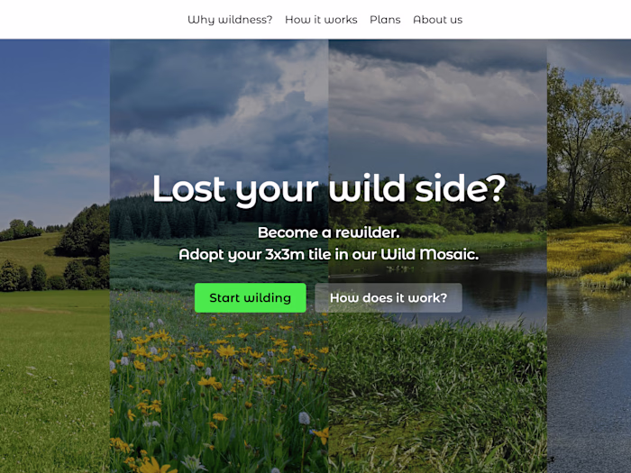 Wild Mosaic 
