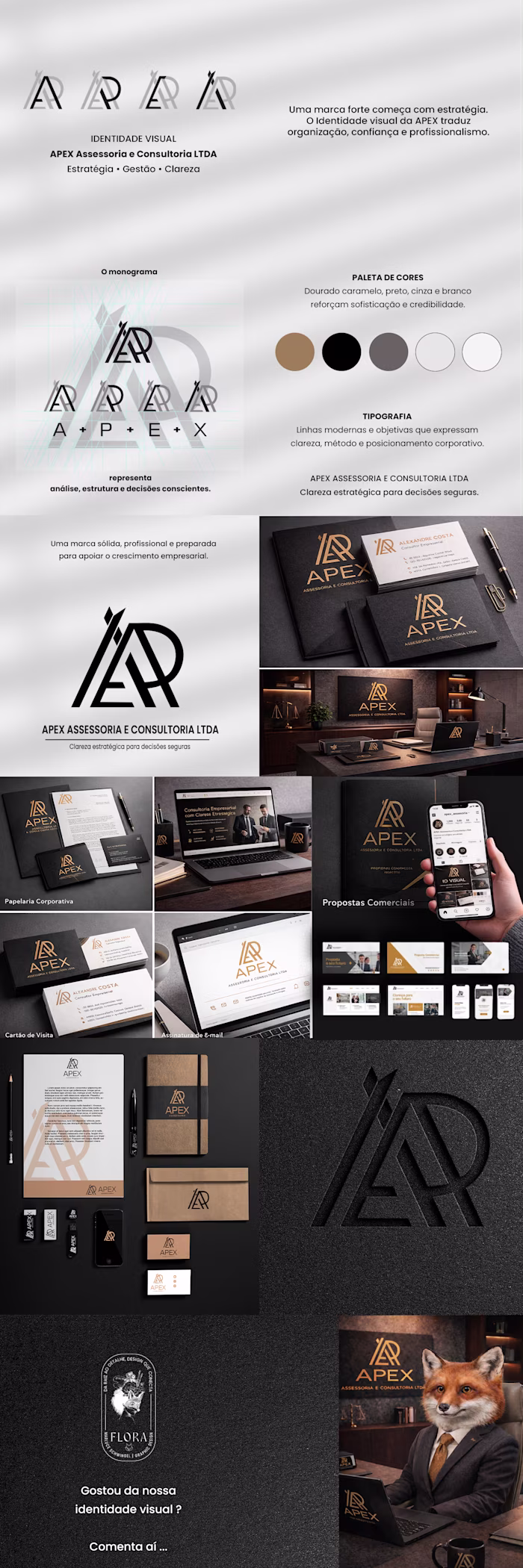 Visual identity project for APEX