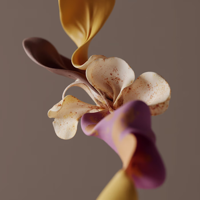 Daily explorations within Flux.