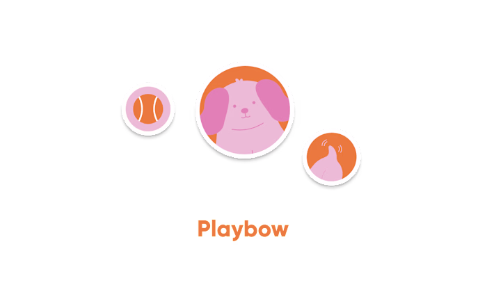 Playbow