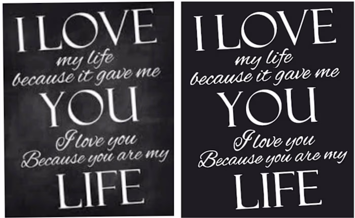 vector photos 