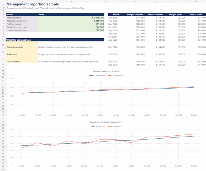 Management Reporting & 13-Week Cash Flow — Fictional Sample