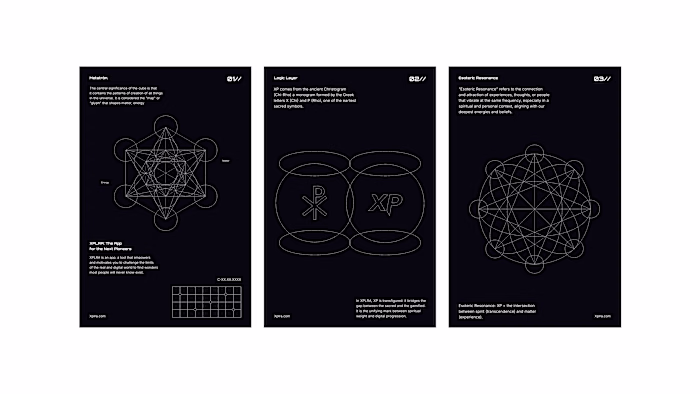 Assets for a recent branding project