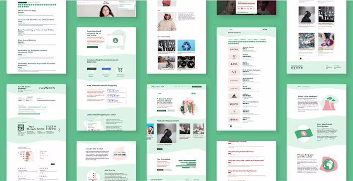 Designing a Website to Showcase Ethical Consumer Brands