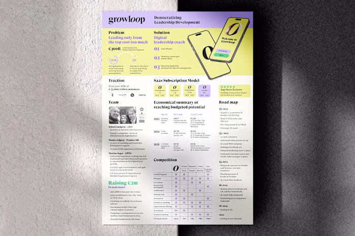 I will design one pager, executive summary, or investment teaser