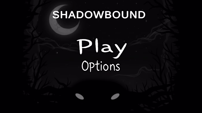 SHADOWBOUND - 2D Game Made