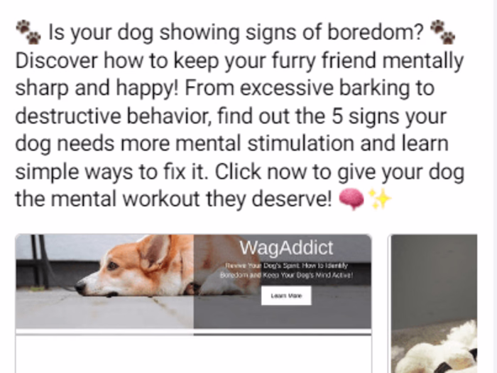 Facebook Ads — 5 Signs Your Dog Needs Mental Stimulation