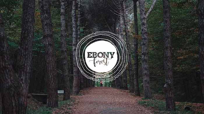 Forest Conservation Training - Social Media Post on Behance