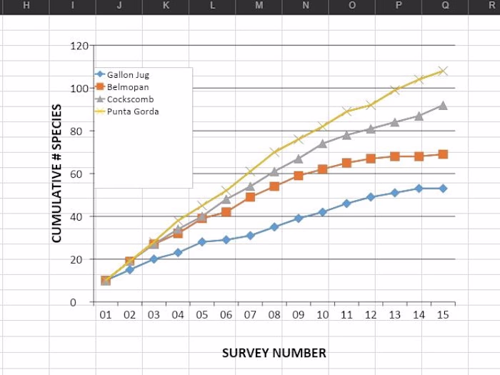 Ecology: Study Site Analysis