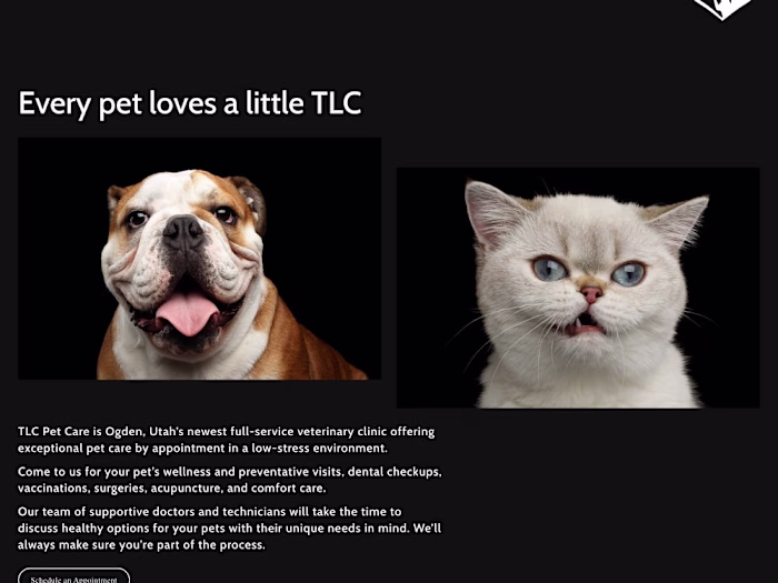 Vet Clinic Website and Copywriting