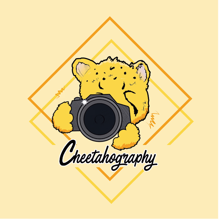 Illustrated branding.