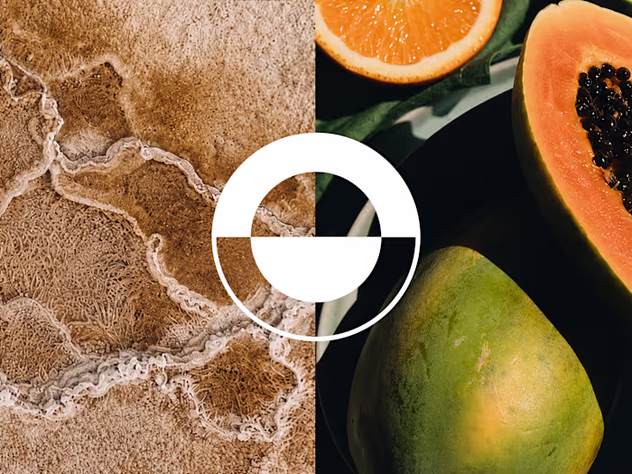 Start Nutra  Brand Identity
