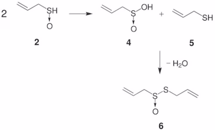 What is Allicin?