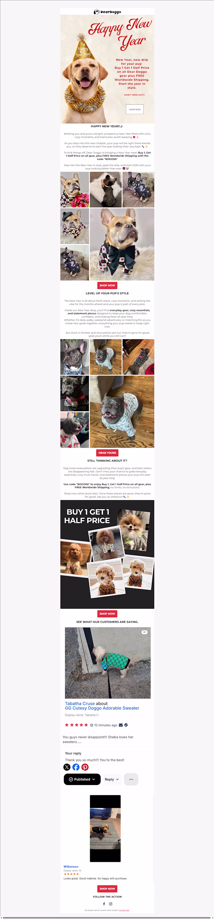 Email Campaign for a Dog Wears Brand
