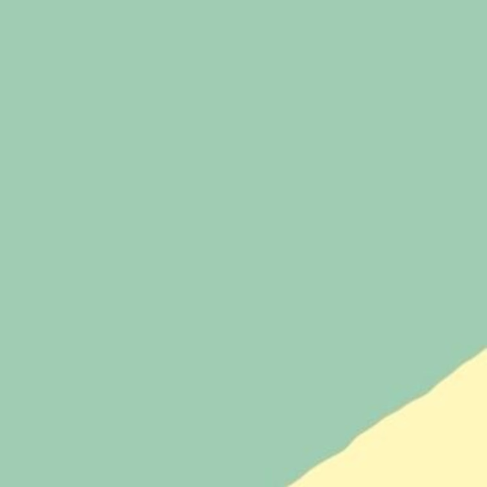 Ostrich Animation