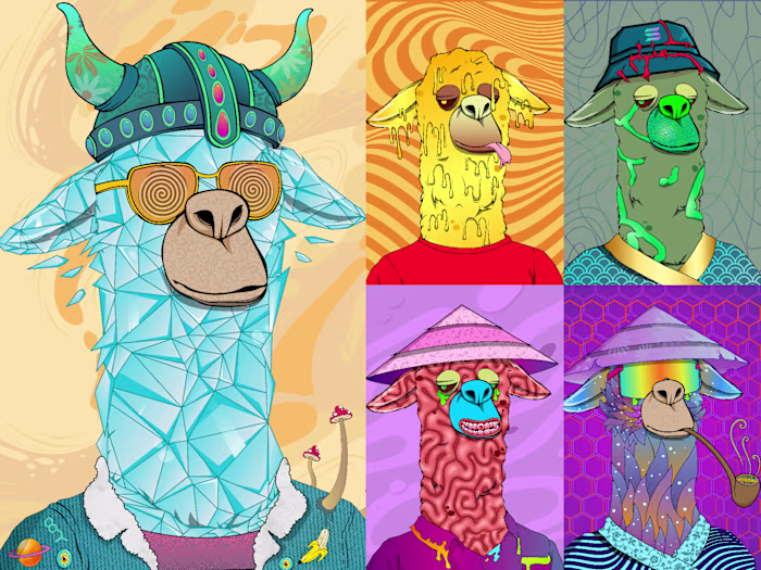 Lama 2D NFT 