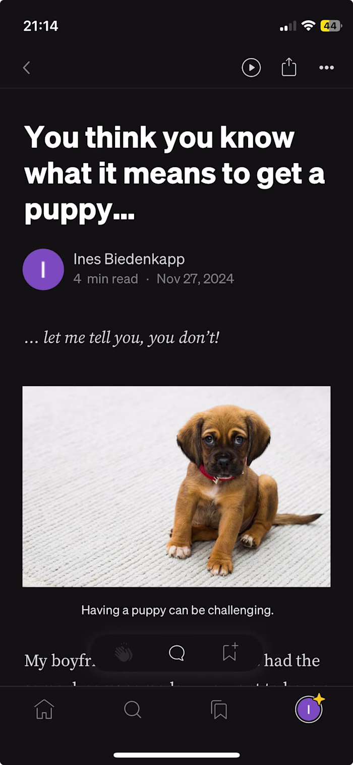 Blog post | The surprises of a puppy