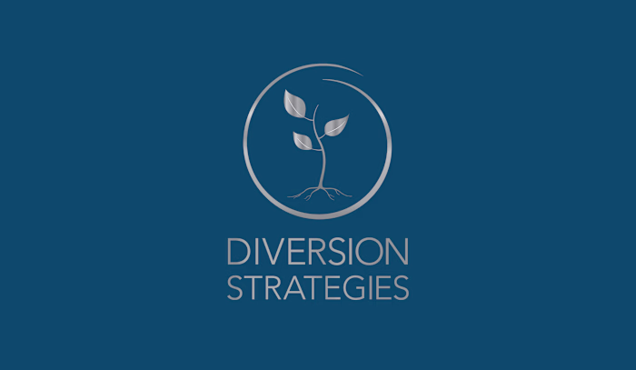 Diversion Strategies | Brand Identity 