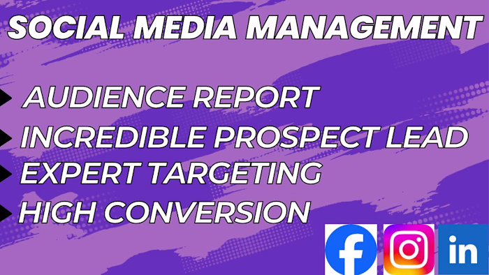Setup Facebook, Instagram, and LinkedIn Ads to Generate b2b lead