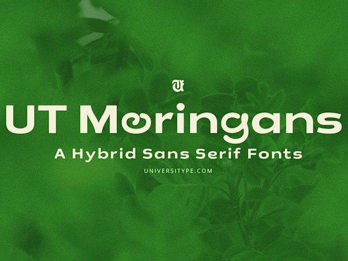 Custom Typography