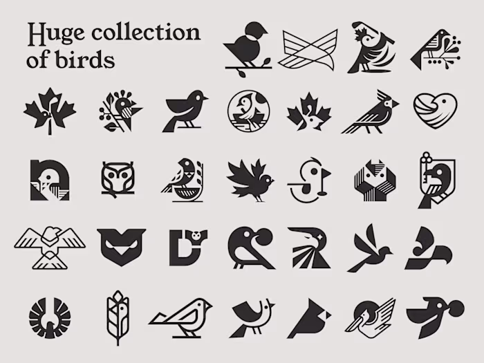 Huge collection of birds /2023