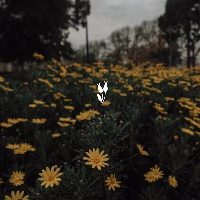 Bloom Minimalist | Flower Logo