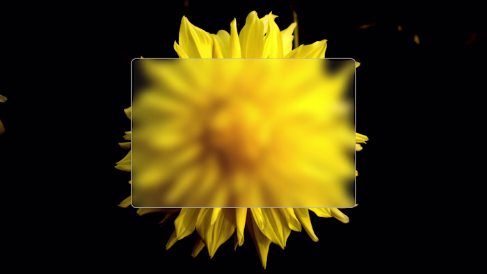 Glassmorphism