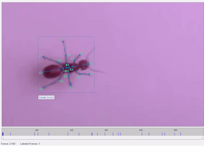 Built a Computer Vision object detection and tracking model