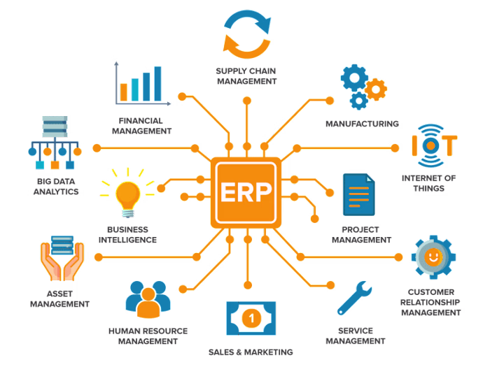 Medical ERP