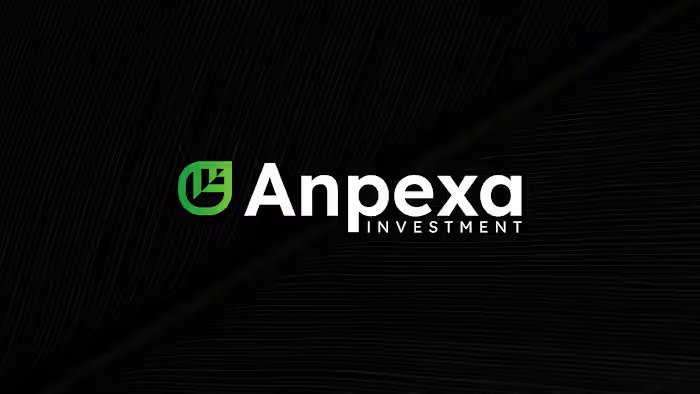 Investment Logo and Brand Identity