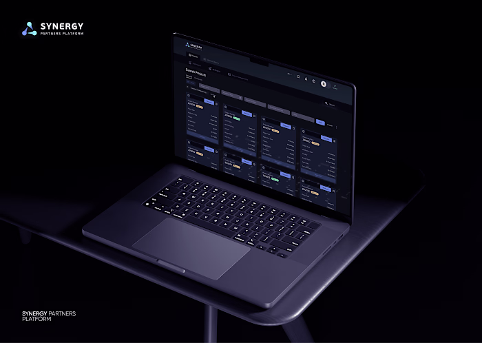 Synergy Partners Platform design 