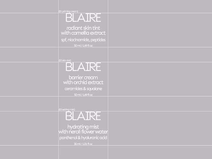 Part 2 of BLAIRE focuses