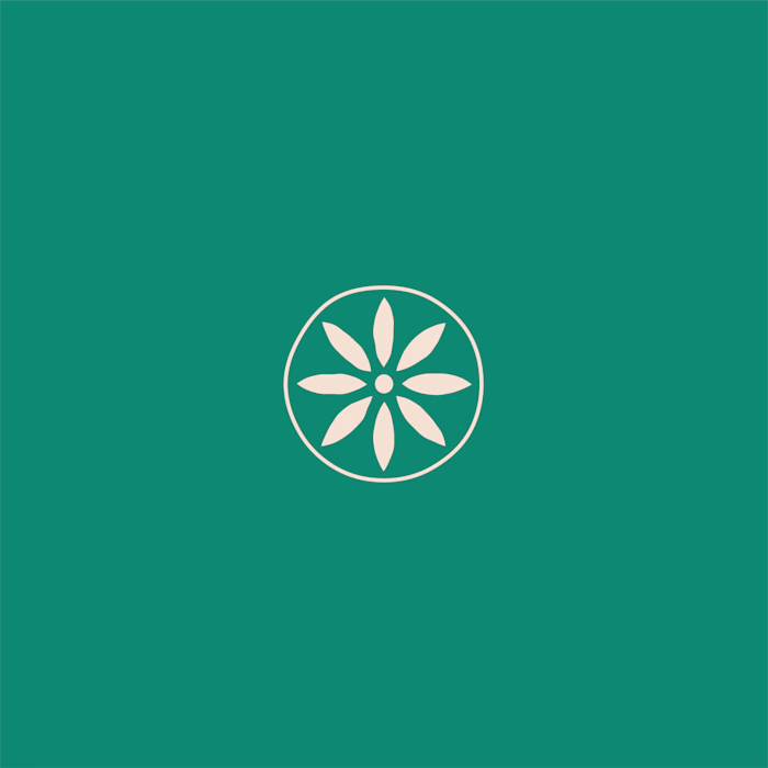 Noor Wellness Retreat Visual Identity