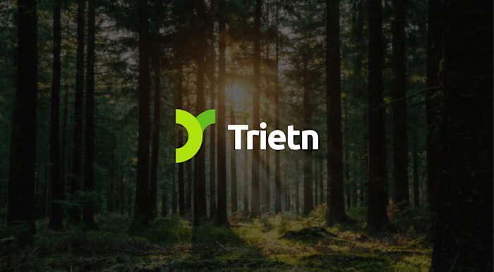 Brand Identity Design l Trietn