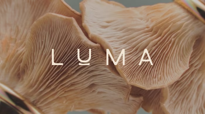Luma — Branding for Adaptogen Wellness
