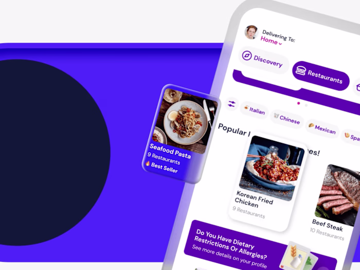 Explainer App demo