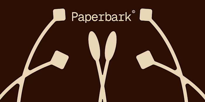  Paperbark.ai, A logo and visual design venture.