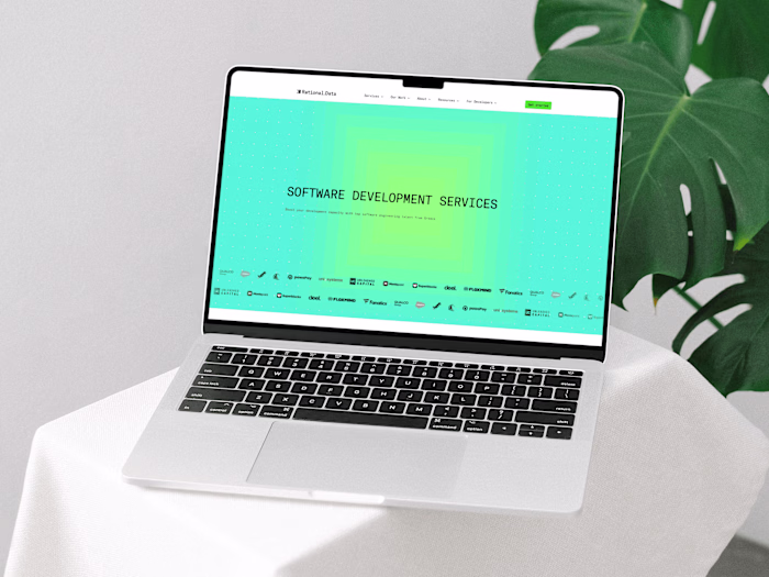 Rational Data - Software development services