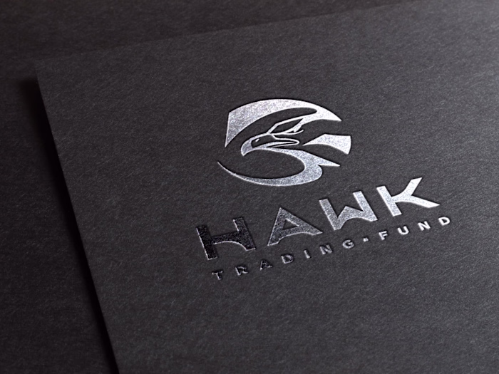 HAWK - Logo Design