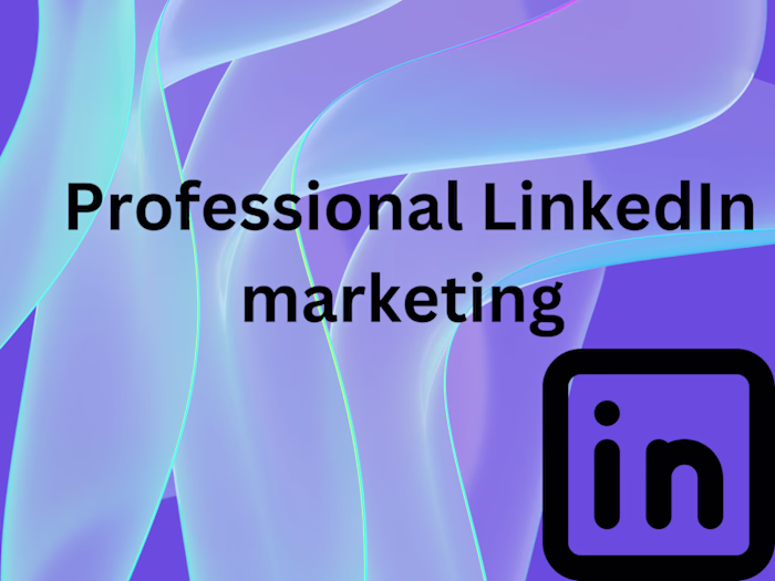 Professional LinkedIn marketing + optimization