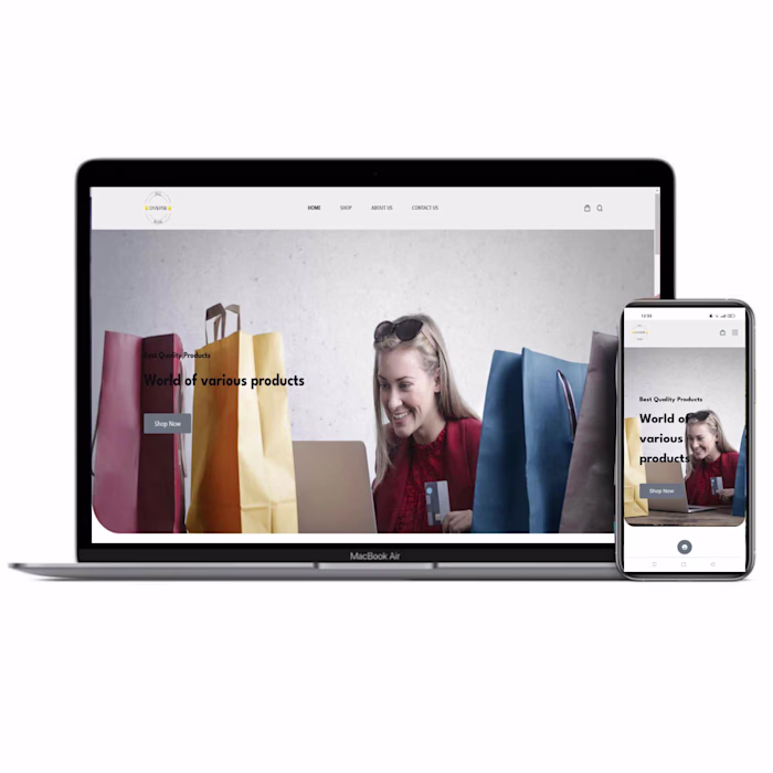 A professional and integrated dropshipping website