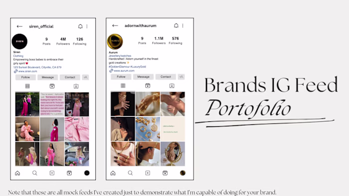 Brands' IG Feed Portfolio 