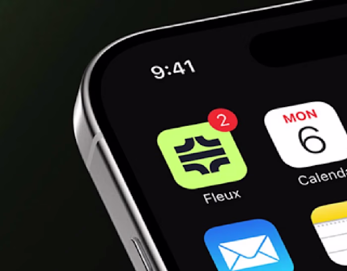 Fleux (Fintech Brand Identity)