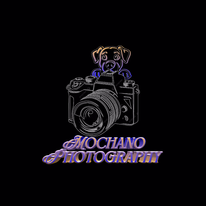 A client needed a logo