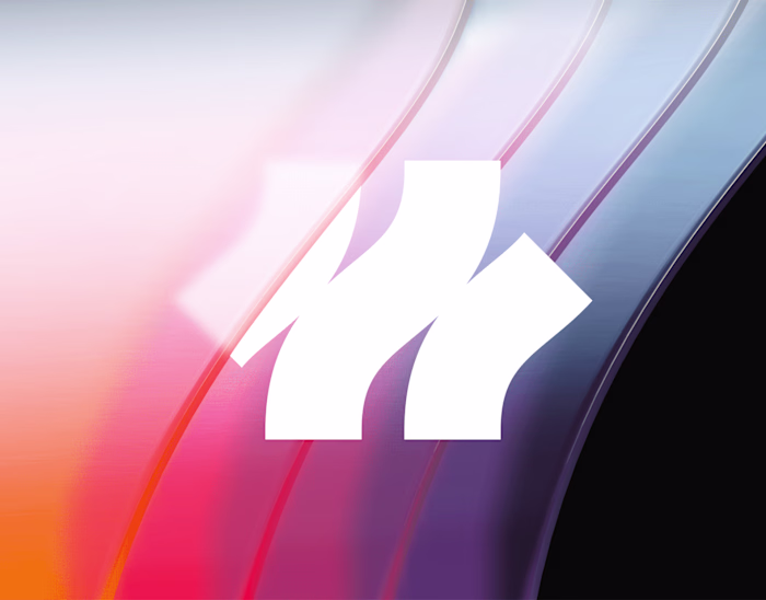 HiFlo Brand Identity