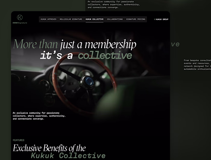 Website Showcase