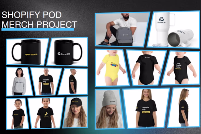 Custom Shopify E-Commerce Build & Printify Integration for T...